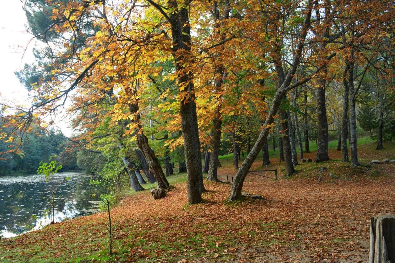 Sunday Las Navas Лас Навас дель Маркес Экстерьер фото